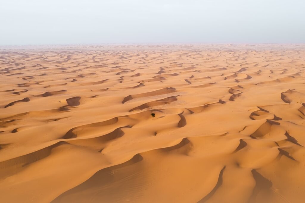 Al Qudra Desert Circuit